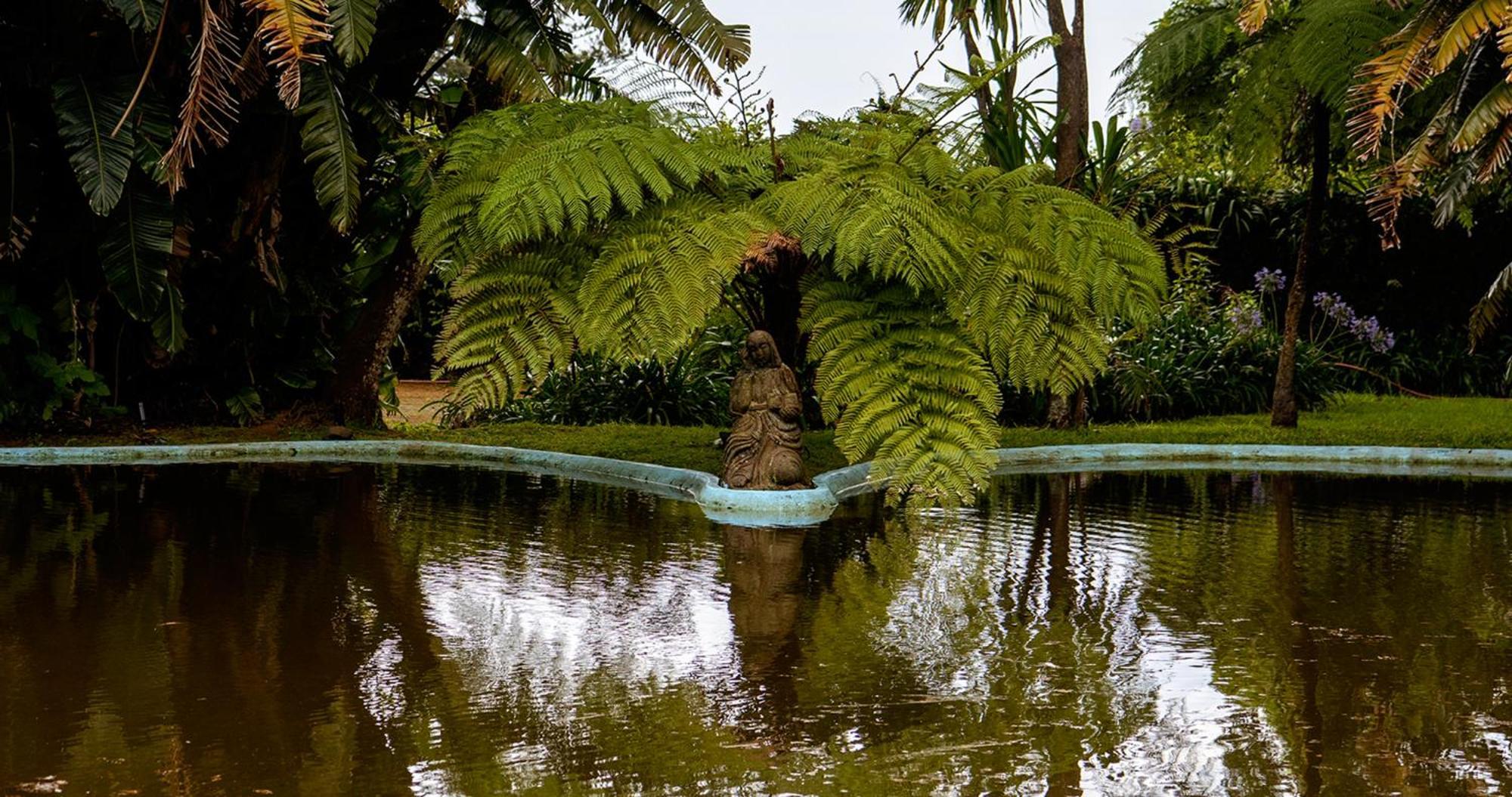 Quinta Da Nasce Agua Lejlighedshotel Angra do Heroísmo Eksteriør billede